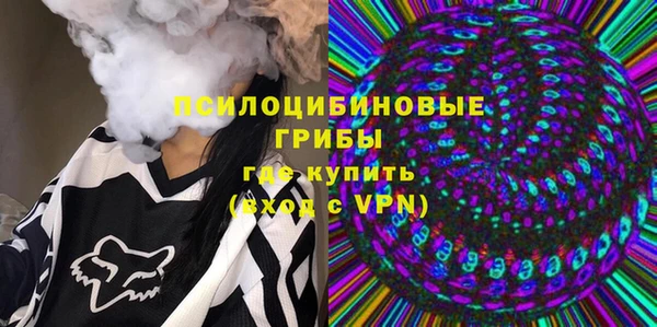 бошки Богданович