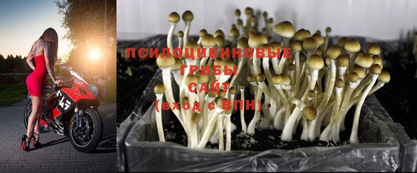 бошки Богданович
