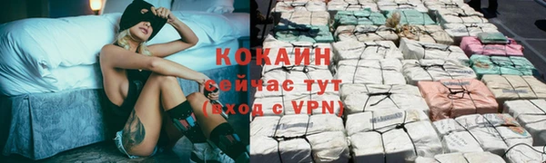 бошки Богданович