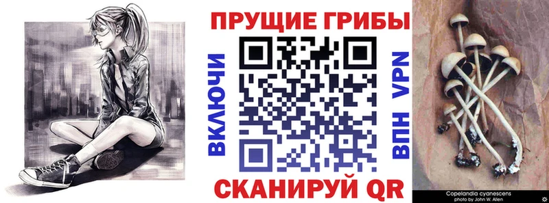 Псилоцибиновые грибы Cubensis  наркошоп  Казань 
